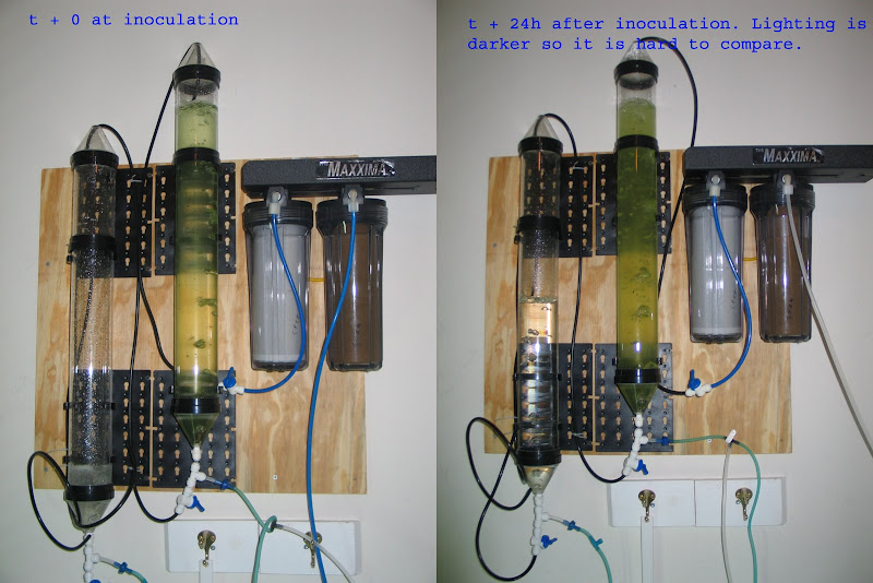 Drip method phytoplankton reactor? Reef Central Online Community